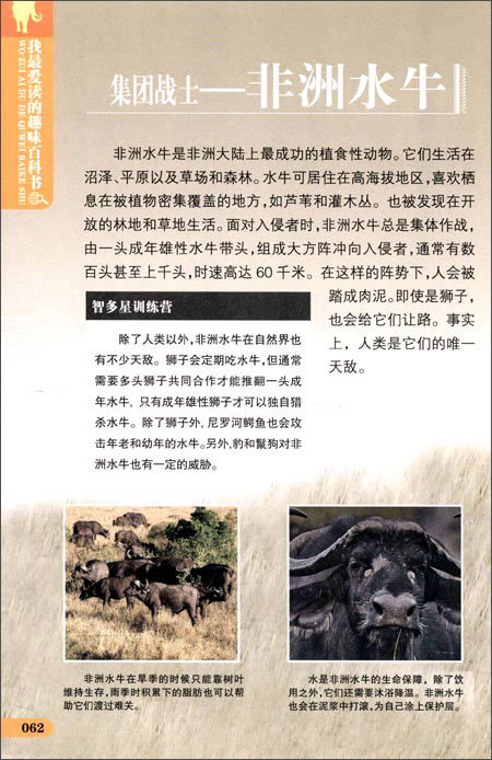 火狐电竞官网-吴谨言录制TVB人气旺 媒体点赞“亲和力十足”(图2) 火狐电竞