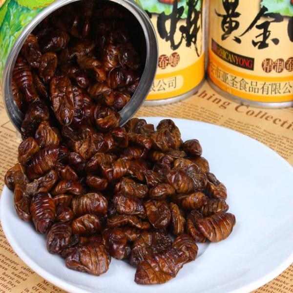 多多自走棋海军上将图鉴 多多自走棋船长是谁_火狐电竞官网(图2) 火狐电竞官网