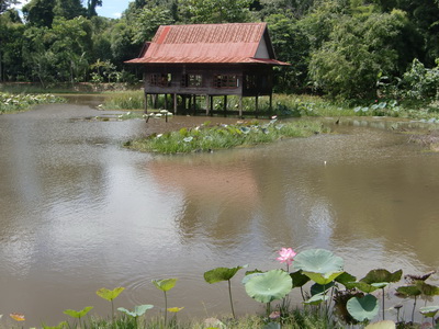 火狐电竞官网|《一触钟情》女主角王咪佳:这是命中注定的缘分(图3) 火狐电竞平台