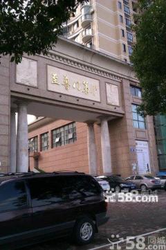 疯狂动物园犀牛宝宝属性 犀牛宝宝宠物技能怎么样【火狐电竞】(图2) 火狐电竞