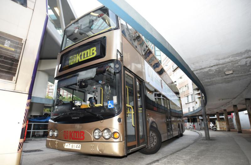 疯狂动物园犀牛宝宝属性 犀牛宝宝宠物技能怎么样【火狐电竞】(图3) 火狐电竞平台