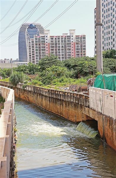 火狐电竞平台-陈超文:一个法律工作者的影人梦想(图1) 火狐电竞官网