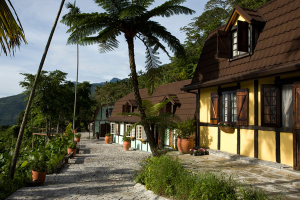 奶块亡灵军马(紫)坐骑怎么得 亡灵军马(紫)坐骑吃什么【火狐电竞平台】(图2) 火狐电竞官网