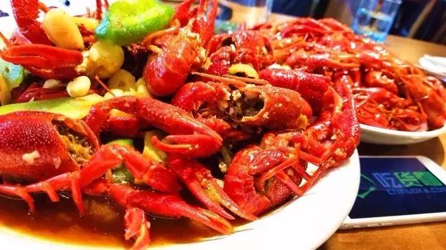 方舟生存进化风神翼龙在哪 手机版风神分布位置|火狐电竞官网(图3) 火狐电竞