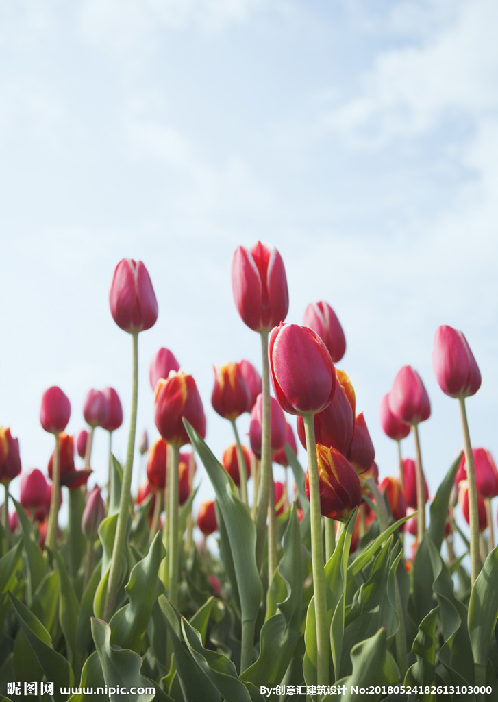 【火狐电竞平台】“黄脸婆”变美少女!日本性感女神被疑整容(图2) 火狐电竞