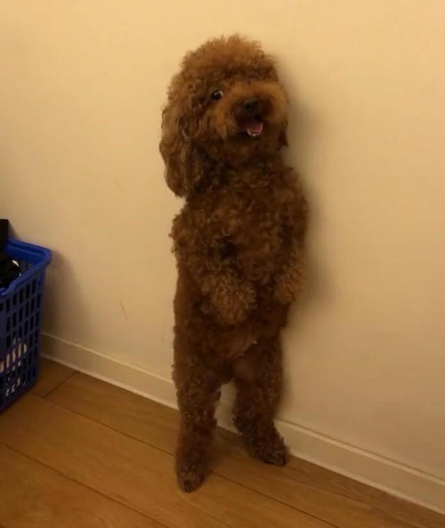 “火狐电竞官网”《完美受害人》电影开机 题材新颖独特引人期待(图1) 火狐电竞