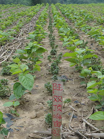 【品牌整形】乐山经纬被评为全省放心整形美容医院-火狐电竞(图2) 火狐电竞平台