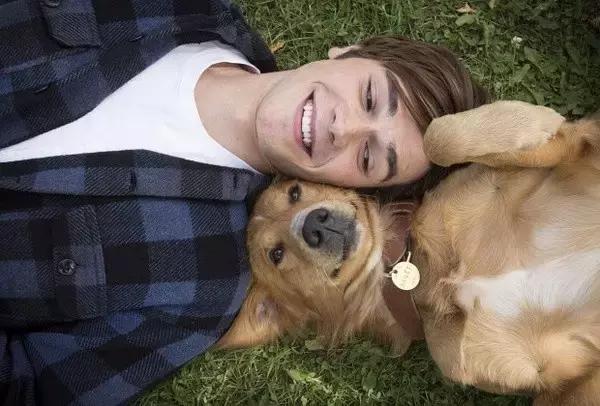 成语小秀才第224关答案攻略 关卡答案攻略详解‘火狐电竞平台’(图1) 火狐电竞官网