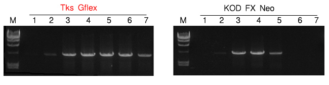 火狐电竞_府西社区:开展“夏日送清凉慰问”活动(图1) 火狐电竞平台
