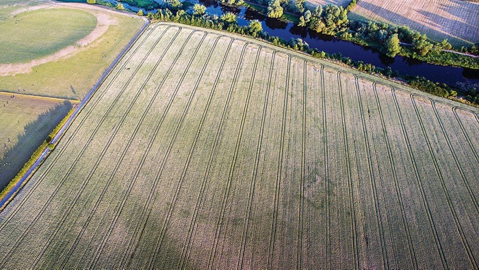 “火狐电竞平台”辽宁提出:五年内将建设成为食品安全放心省(图1) 火狐电竞平台
