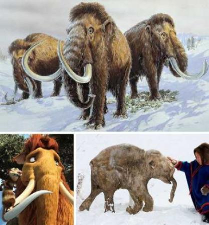 严屹宽升级为准爸爸!当年的天涯四美现在都如何了呢?|火狐电竞平台(图2) 火狐电竞官网