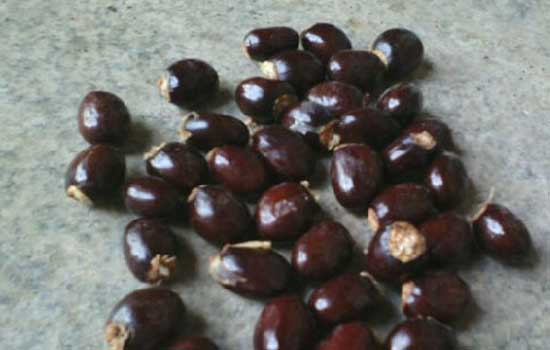 云顶之弈手游炼金术士图鉴 云顶之弈手游炼金术士介绍:火狐电竞官网(图1) 火狐电竞官网