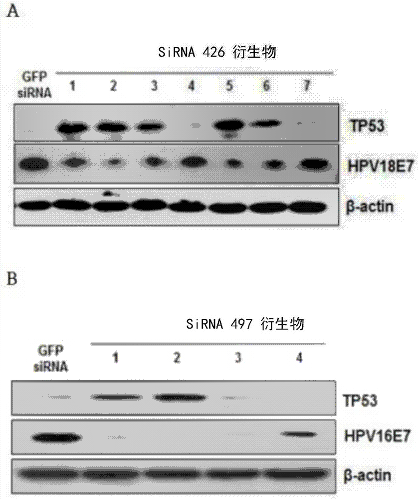 “小姨妈”邓家佳离婚了,可她当年穿过的婚纱都超美:火狐电竞(图3) 火狐电竞官网