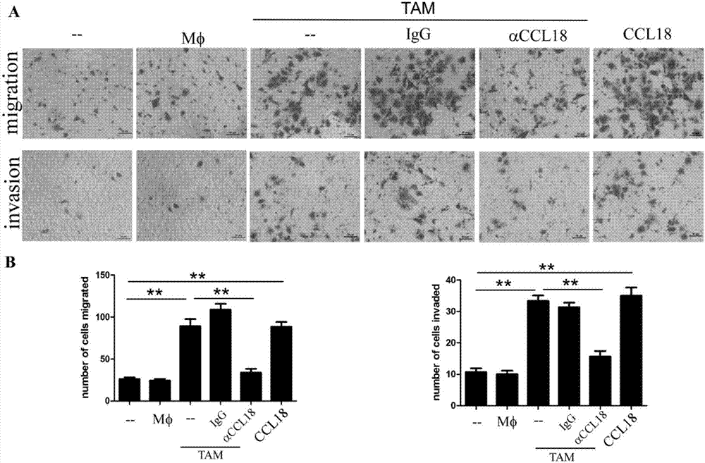 ‘火狐电竞官网’
有了这几种方法就不用再去美容院了(图3) 火狐电竞