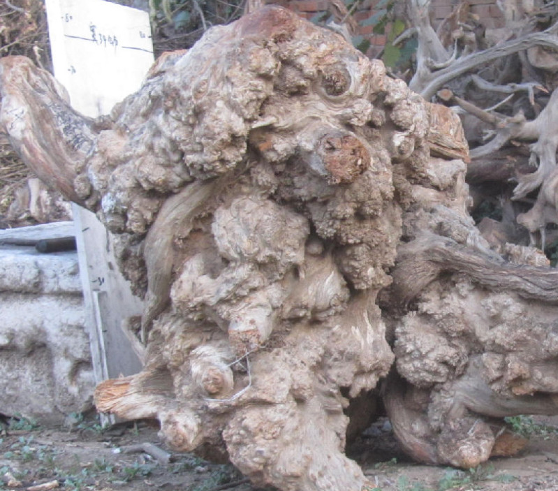 张殿伦邀粉丝一起吃火锅 画面温馨引网友羡慕:火狐电竞官网(图3) 火狐电竞平台