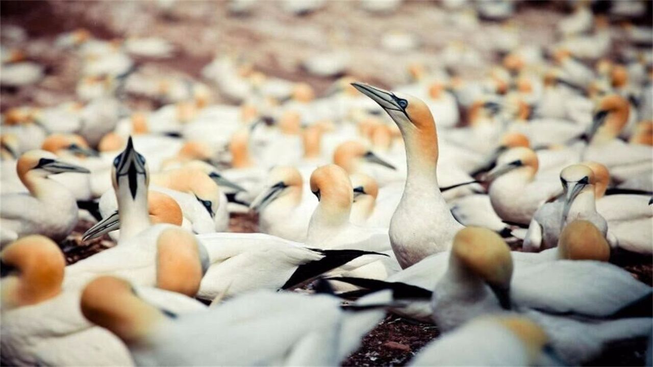 火狐电竞官网|
解密高业绩店面乐成基础——选对品项 即是乐成一半(图2) 火狐电竞官网