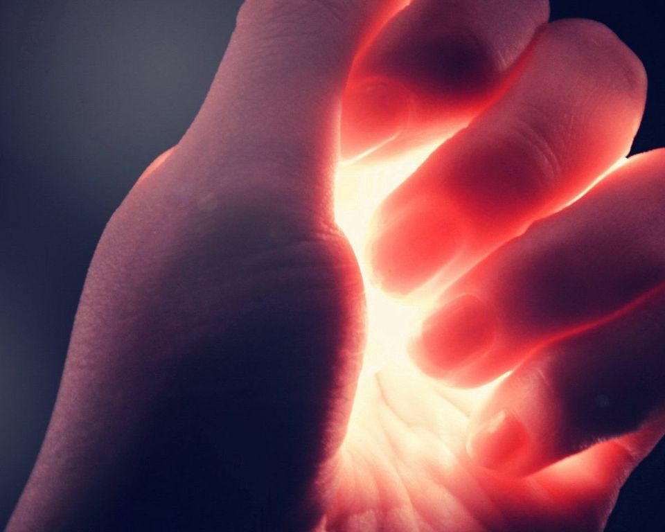 植物大战僵尸2IOS版本怎么刷碎片 刷碎片攻略【火狐电竞】(图1) 火狐电竞官网