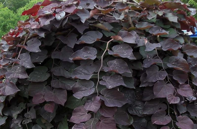 火狐电竞平台|
集齐10个国际Spa美发美甲健身大牌 这个“泛美业综合体”风头正劲(图3) 火狐电竞官网